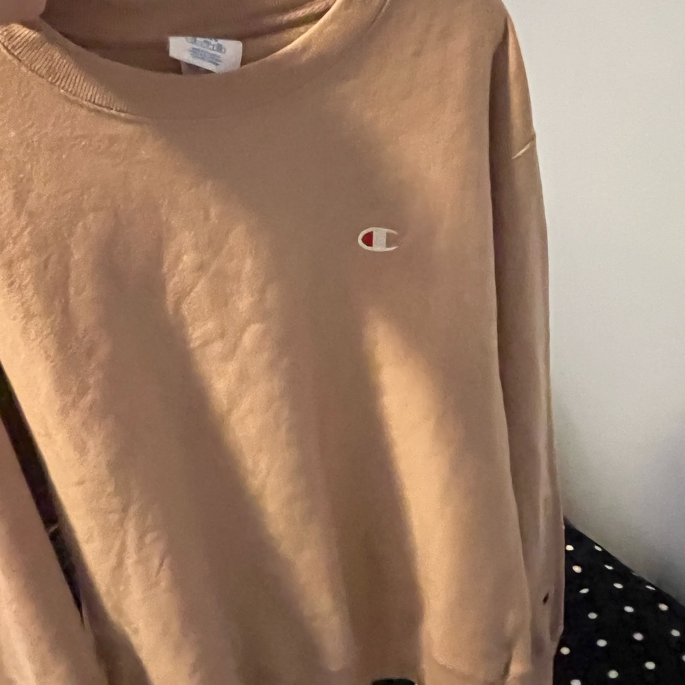 Champion sweatshirt